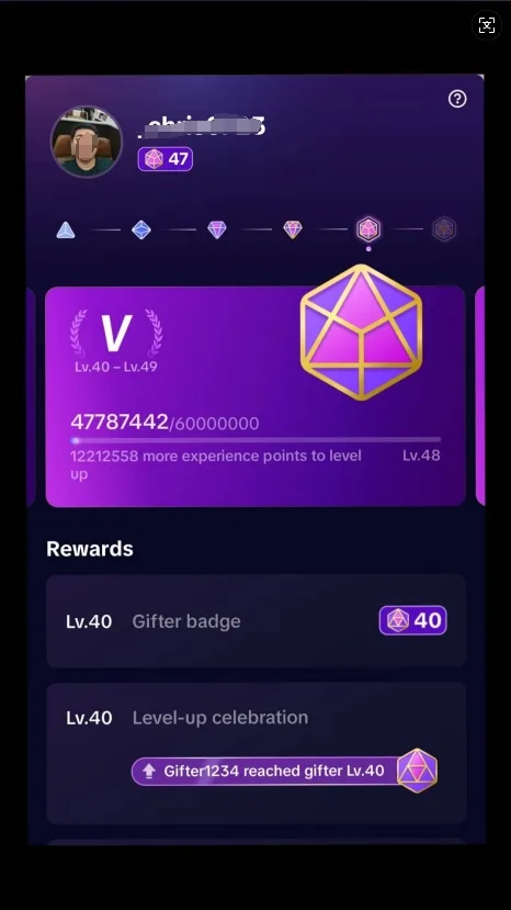 TikTok-Konto mit Gifter-Badge Level 47 Mieten — Screenshot 1