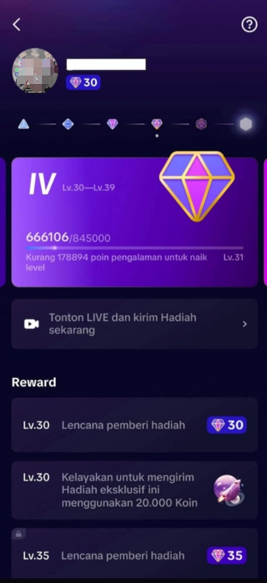 buy aged tik tok account online