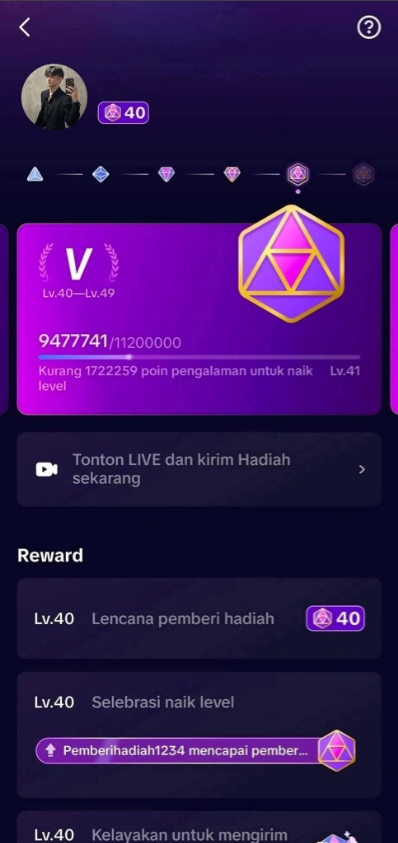 best TikTok level 40 account for sale